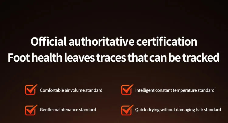 Secador de Zapatos Portátil Plegable - 180W