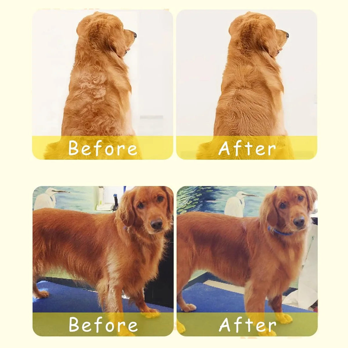 Cepillo Vapor 3 en 1 para Mascotas – Limpieza, Masaje y Depilación | Beauyork